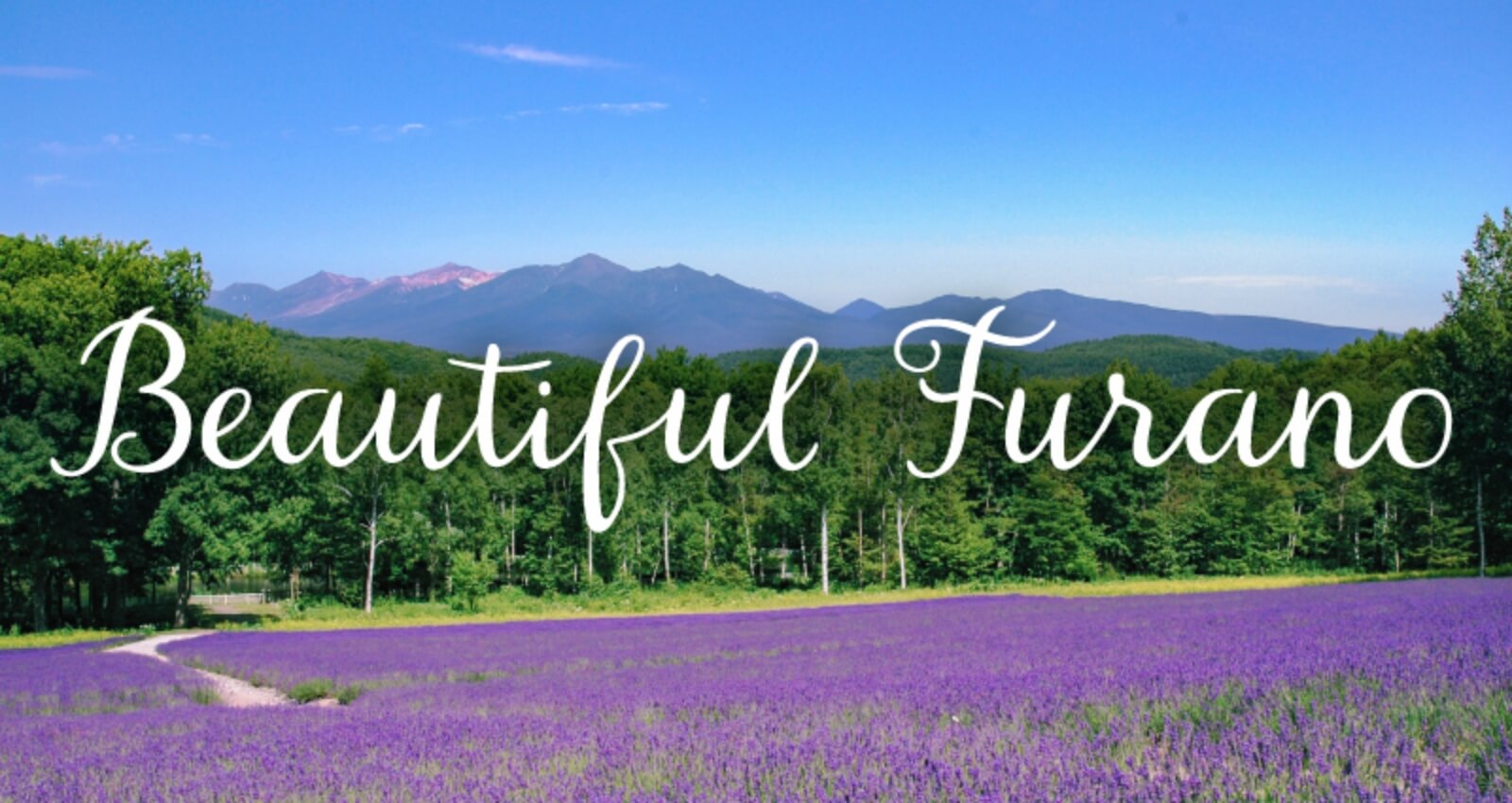 beatiful Furano