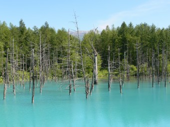 青い池イメージ